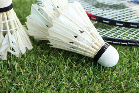 市的体育场 市的体育场