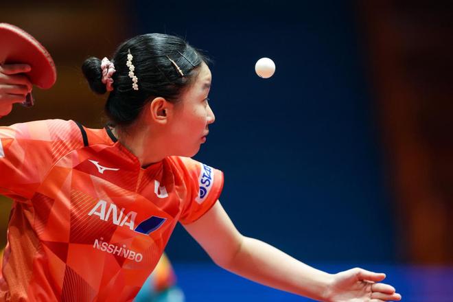 会的价格可 会的价格可