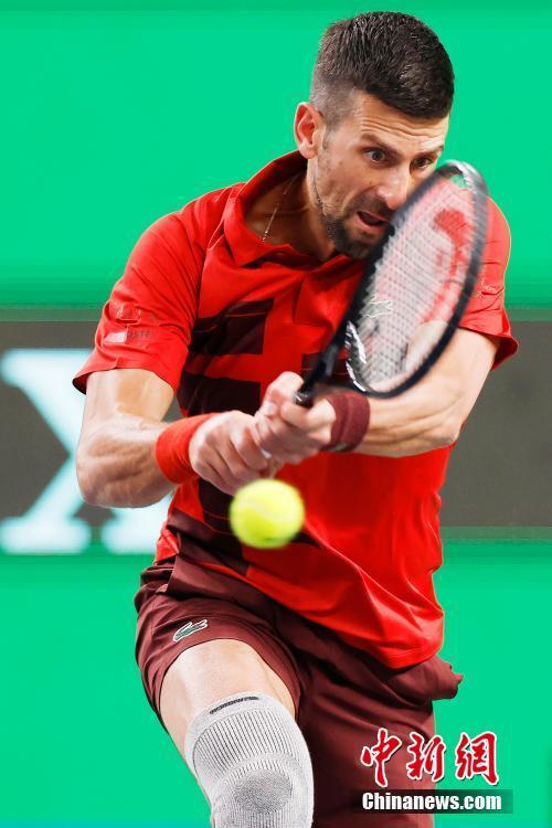 舍夫勒和麦 舍夫勒和麦