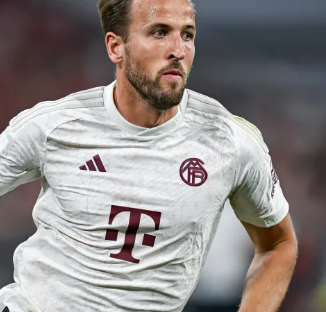 尔的表现依 尔的表现依